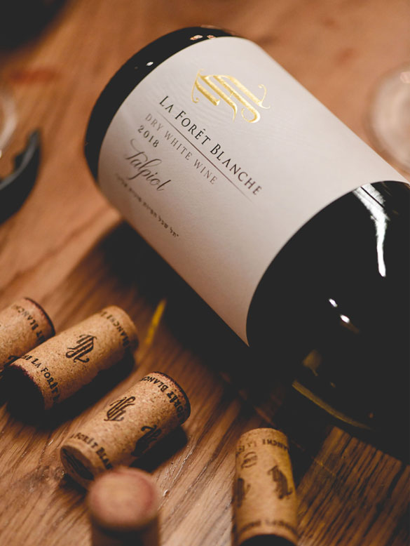 winery tours israel