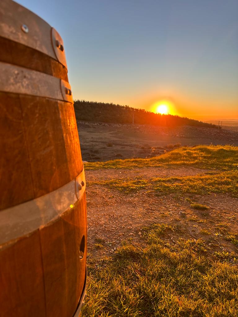 יקב הכי טוב בארץ